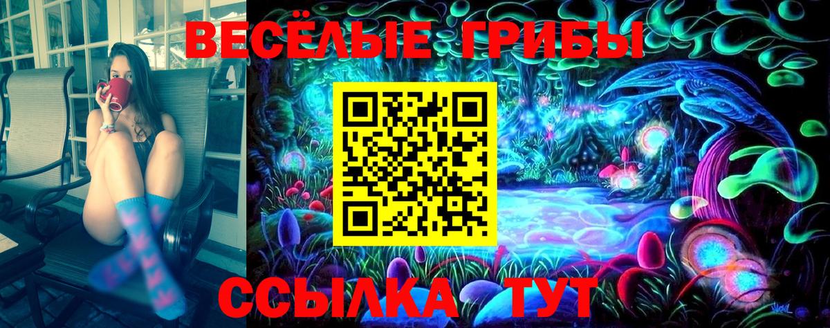 Псилоцибиновые грибы ЛСД  Псилоцибиновые грибы MAGIC MUSHROOMS  Вход с VPN  Альметьевск 