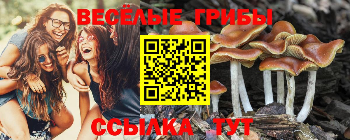 Псилоцибиновые грибы ЛСД Альметьевск