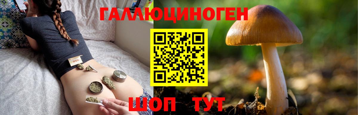 Псилоцибиновые грибы Psilocybine cubensis Альметьевск